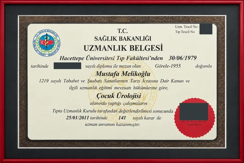 Çocuk ürolojisi uzmanlığı